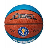 Мяч баскетбольный Jogel Pro Training ECOBALL 2.0 Replica р.6