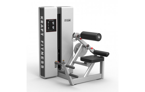 Разгибание спины KRAFT Fitness EXACT KFXBE 600_380