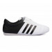 Степки для тхэквондо Adidas Adi-Kick 2 adiTKK01 бело-черные 75_75