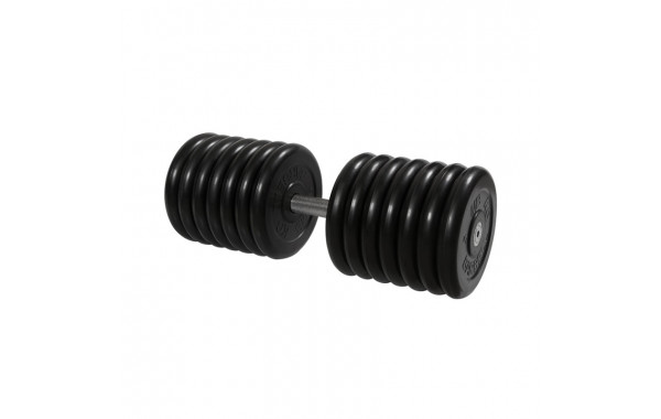 Гантель Профи с вращающейся ручкой, 71 кг MB Barbell MB-FdbM-B71 600_380