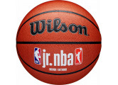 Мяч баскетбольный Wilson JR.NBA Fam Logo Indoor Outdoor WZ2009801XB6 р.6