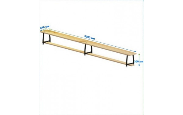 Скамейка гимнастическая 3000мм (щит дерево) ножки метал с РО Dinamika 600_380