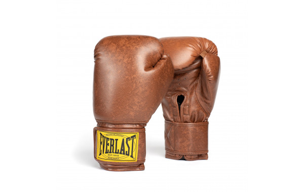 Перчатки тренировочные Everlast 1910 Classic PU 10oz P00003343 коричневый 600_380