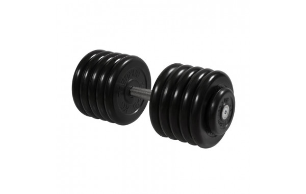 Гантель Профи, 53,5 кг MB Barbell MB-FdbM-B53,5 600_380