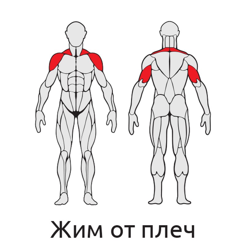 Жим от плеч (тип 2) Iron King S421 800_800