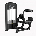 Разгибатель спины Fitex Pro FTX-FB31 120_120