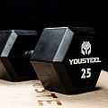 Гантель обрезиненная YouSteel HEX DB 35 кг 120_120